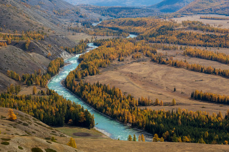 Scenic view of Altai landscape in fall, featuring a winding river and colorful trees. Captures serenity and natural beauty of autumn season.の写真素材