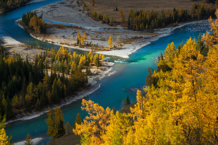 Breathtaking view of winding river through vibrant fall foliage in the Altai Mountains, showcasing natures beauty and tranquility.の写真素材