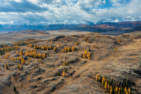 Photograph showcasing Altai mountain region during autumn. Features larch forest, rolling hills, and snow-capped peaks. Vibrant warm tones blend natural beauty to create breathtaking panoramic viewの写真素材