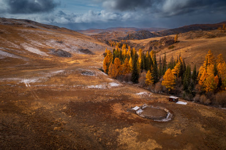 Autumn landscape with golden and green trees by brown meadow surrounded by rolling hills