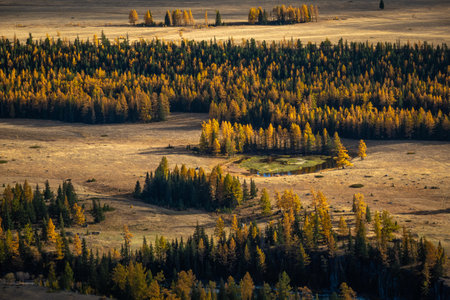 Beautiful autumn landscape featuring golden tree-covered hills and small reflective pond surrounded by rich forest.の写真素材