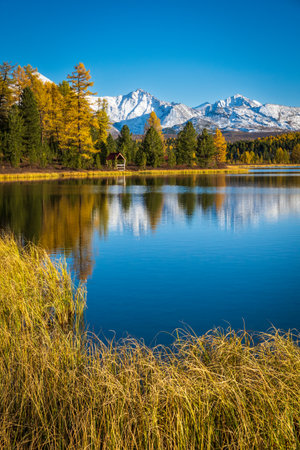 Serene view of a reflective lake with golden trees and snow-capped peaks in backgroundの写真素材