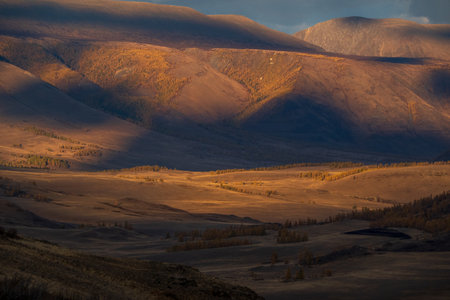 Golden light graces a serene valley with soft contrasts and mountainous backdrop, emphasizing the natural beauty and tranquility of the landscape. Perfect for showcasing peaceful and scenic vistas.の写真素材
