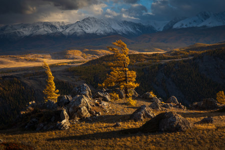 Autumn scenery with vibrant trees, sunlight illuminating a rocky hill, and snowy mountains.の写真素材
