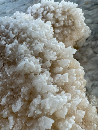 Detailed close-up of salt crystals forming naturally on rocky surfaces showcasing intricate structures.の写真素材