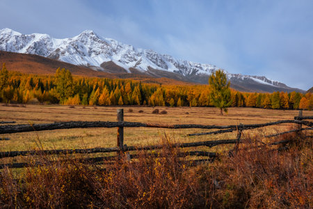 Countryside scene featuring a rustic fence, golden autumn forest, and majestic snow-capped mountains...
