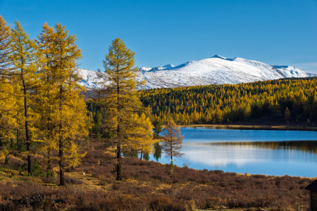 Tranquil autumn forest with golden trees reflected in calm water under blue sky. Scenic mountainous view depicting harmony between natures elements in fall.の写真素材