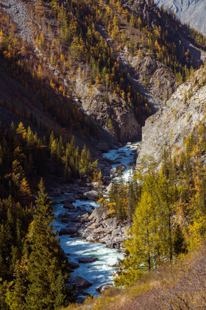 Serene mountain valley showcasing a fast-flowing stream cutting through rocky and forested terrainの写真素材