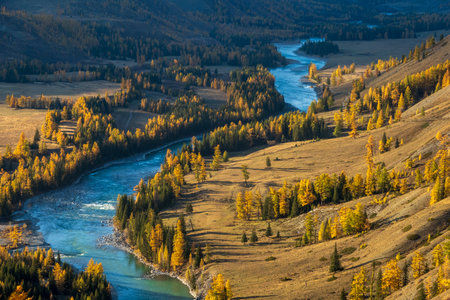Serene autumn valley with a scenic river flowing between golden trees and green meadows, showcasing natural beauty and tranquility with vibrant colors and daytime sunlight.の写真素材
