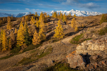Beautiful autumn landscape featuring golden-leaved trees, breathtaking mountains, and serene atmosphere.の写真素材