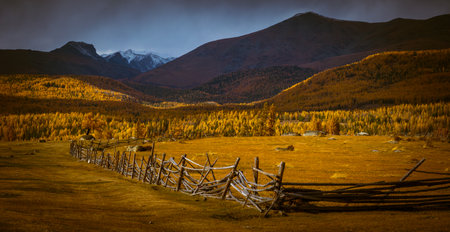 Rustic wooden fence stretches across an open valley with autumn foliage and tall mountainsの写真素材