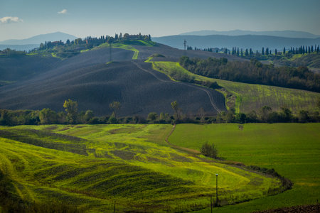 Serene countryside with rolling green fields and hills, trees in autumn, clear sunny sky.の写真素材