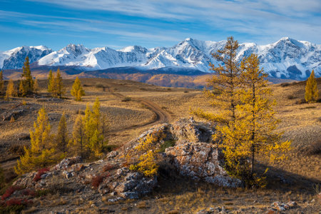 Mountainous landscape with snow-covered peaks and yellow trees under blue sky during autumnの写真素材
