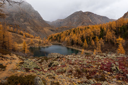 Peaceful autumn scene featuring mountain lake surrounded by golden trees and rugged terrain.