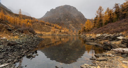 Autumn mountain landscape with golden trees and calm lake reflecting the scenery. Perfect for nature lovers.の写真素材