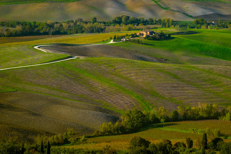 Peaceful rural landscape featuring a winding road leading to a rustic home amidst verdant fields, creating an atmosphere of tranquility and solitude in nature.の写真素材