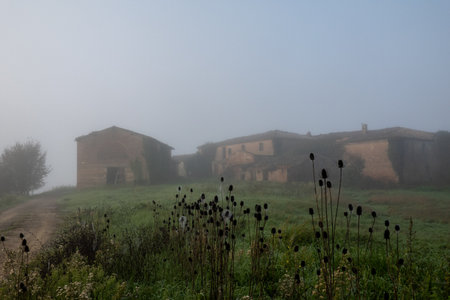 Misty scenery featuring an old deserted farmhouse amidst green countryside and overcast skies. Fields with wild plants and tranquil atmosphere convey solitude and nostalgiaの写真素材