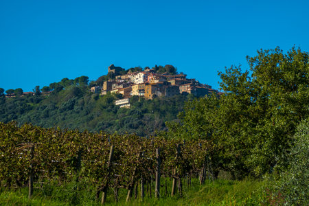 Charming hilltop village amidst flourishing vineyards, vibrant greenery, and clear blue sky. Ideal for nature, travel, and countryside themes.の写真素材