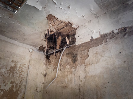 Cracked plaster hanging fibers damp walls exposed beams ceiling debris in neglected room showing structural damage decayの写真素材