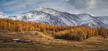 Snow-capped mountain and autumnal forest with rustic cabins in rural landscape peaceful vibes