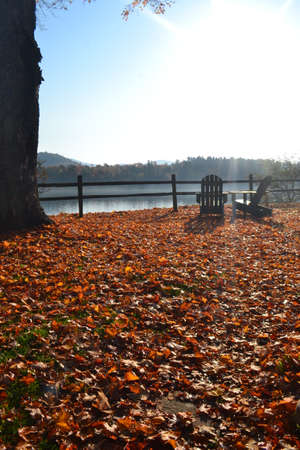 Muskoka chairs by the autumn leaves