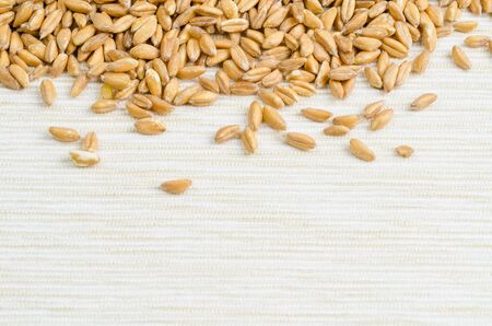 spelt on table cloth, close up, backgroundの写真素材