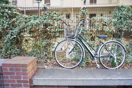 Green bicycle with vines at the apartmentの写真素材