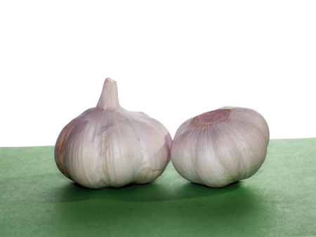 Garlic (Allium sativum)の写真素材