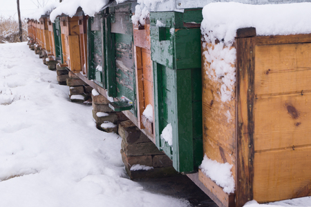 The beekeepers collect honey by the bees in winter
.の写真素材