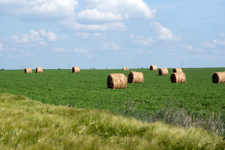 The Straw bales