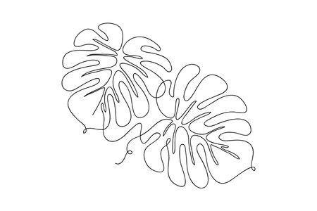 One line drawing of monstera leaf vector. Modern single line art, aesthetic contour. Perfect for home decoration like posters, wall art. vector illustrationのイラスト素材