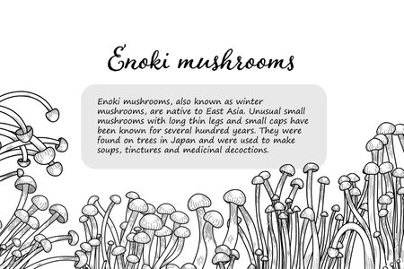 Enoki mushroom graphic vector frameのイラスト素材