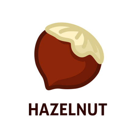 Hazelnut icon for web designのイラスト素材