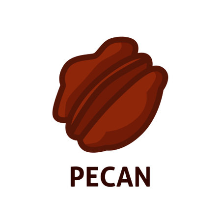 Pecan nut color iconのイラスト素材