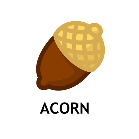 Acorn icon for web designのイラスト素材