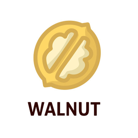 Tasty walnut on white backgroundのイラスト素材