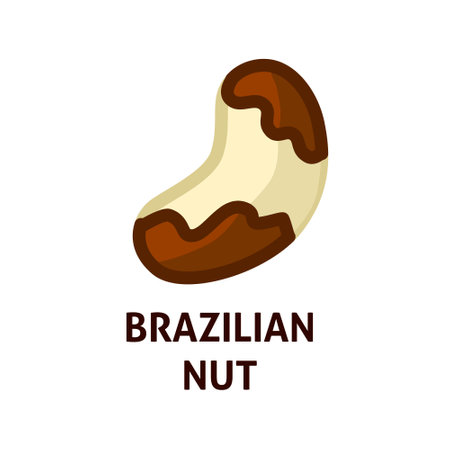 Brazil nut icon symbolのイラスト素材