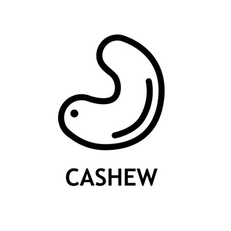 Cashew nuts line vector iconのイラスト素材
