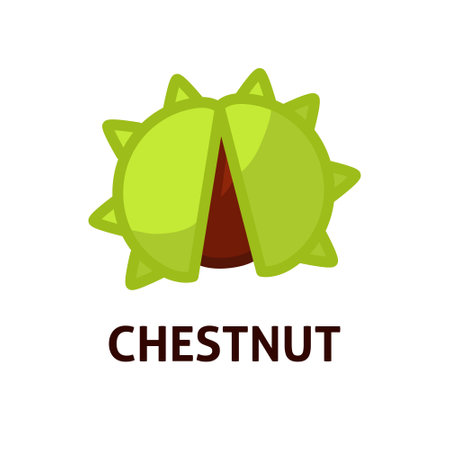 Edible sweet green chestnuts iconのイラスト素材