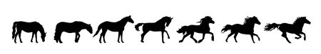 Horse poses silhouetteのイラスト素材