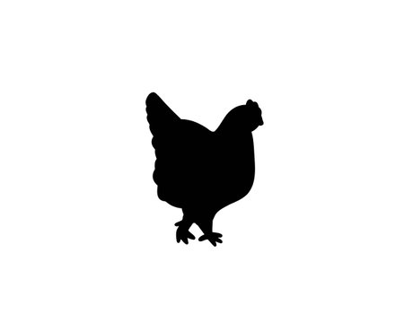 Hen silhouette isolated on white background.のイラスト素材