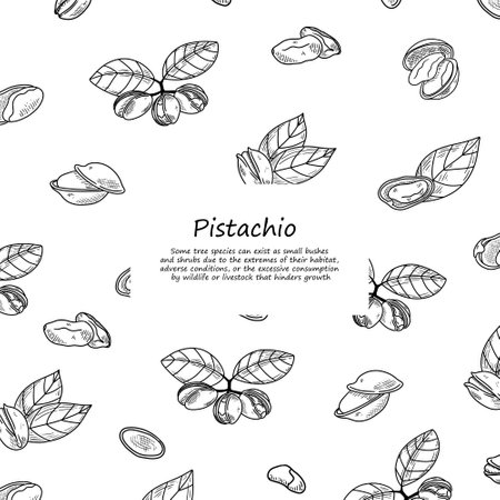 Pistachio vintage frame square menu posterのイラスト素材