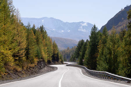 Mountain road stretching into the distance at summer.
