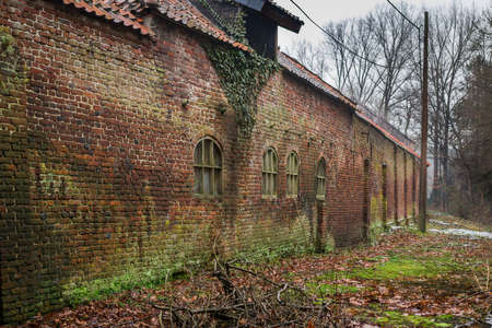 Ancient brick building covered with moss in a gloomy February day in Belgiumの写真素材