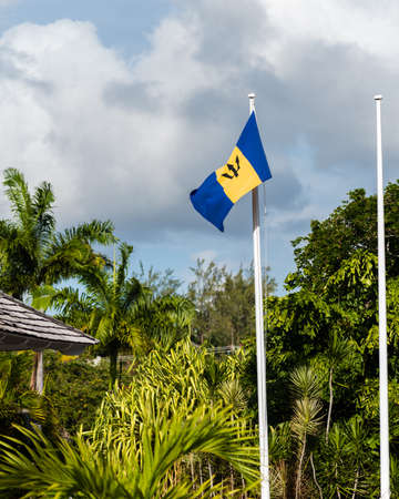 Barbados flag around cloudy skies and lots of greeneryの写真素材