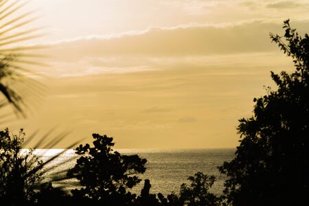 Beautiful orange sunset with palm trees and trees aroundの写真素材