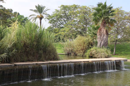 a pool and waterfall flowing in the green and fresh environment of edith wolfson park located in tel aviv israelの写真素材