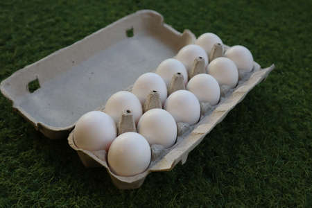 Twelve eggs in a cardboard box on a piece of synthetic grass