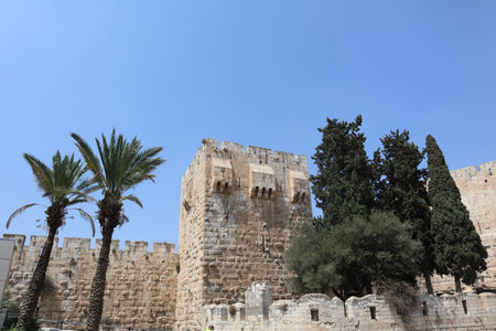 A spire surrounded by trees in the wall of Jerusalem under a blue skyのeditorial素材