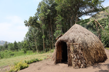 small round hut in forest with a thatched roof, made of sticks and mud and has a small door near tree and some plants growing around it in ugandaの写真素材